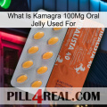 What Is Kamagra 100Mg Oral Jelly Used For 43